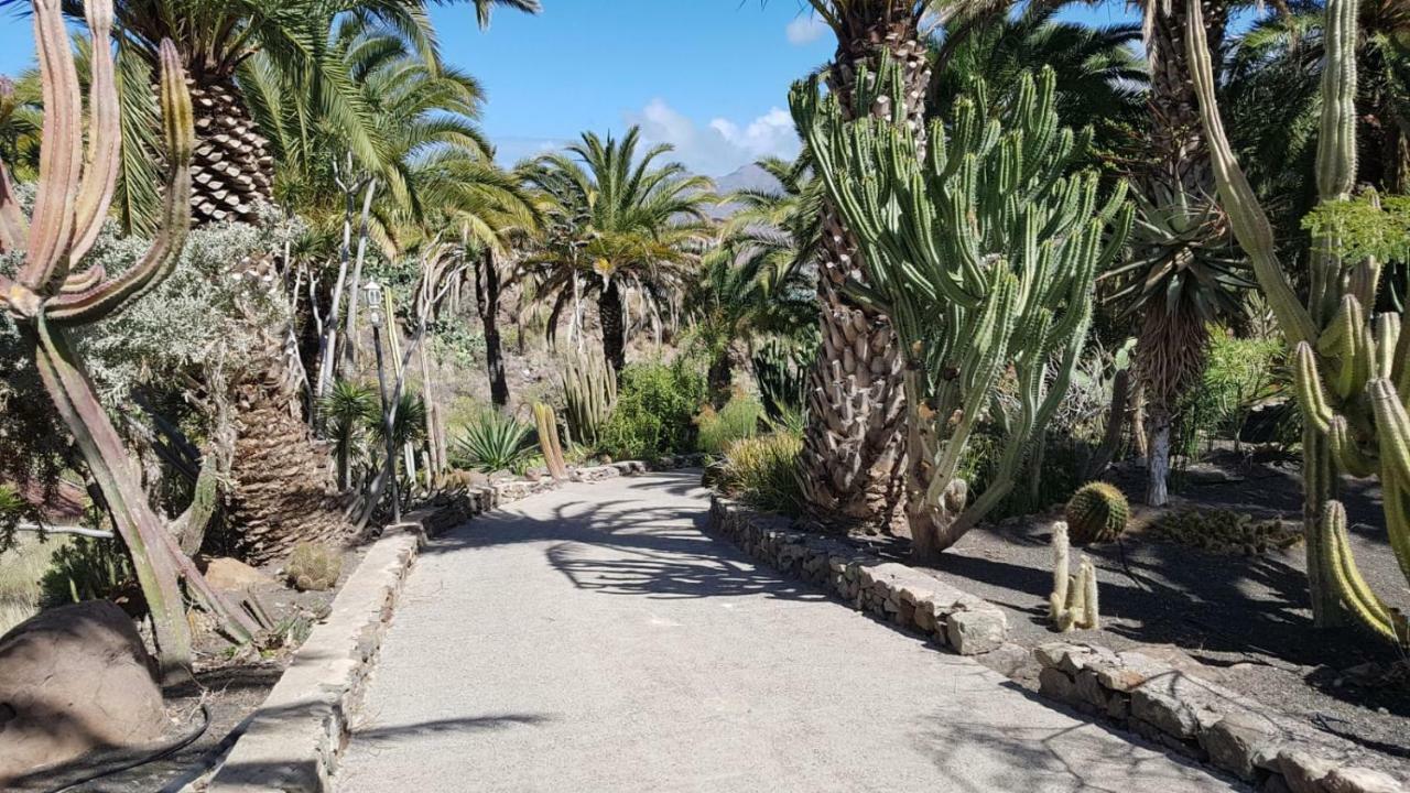Villa De Cactualdea Сан-Николас Экстерьер фото